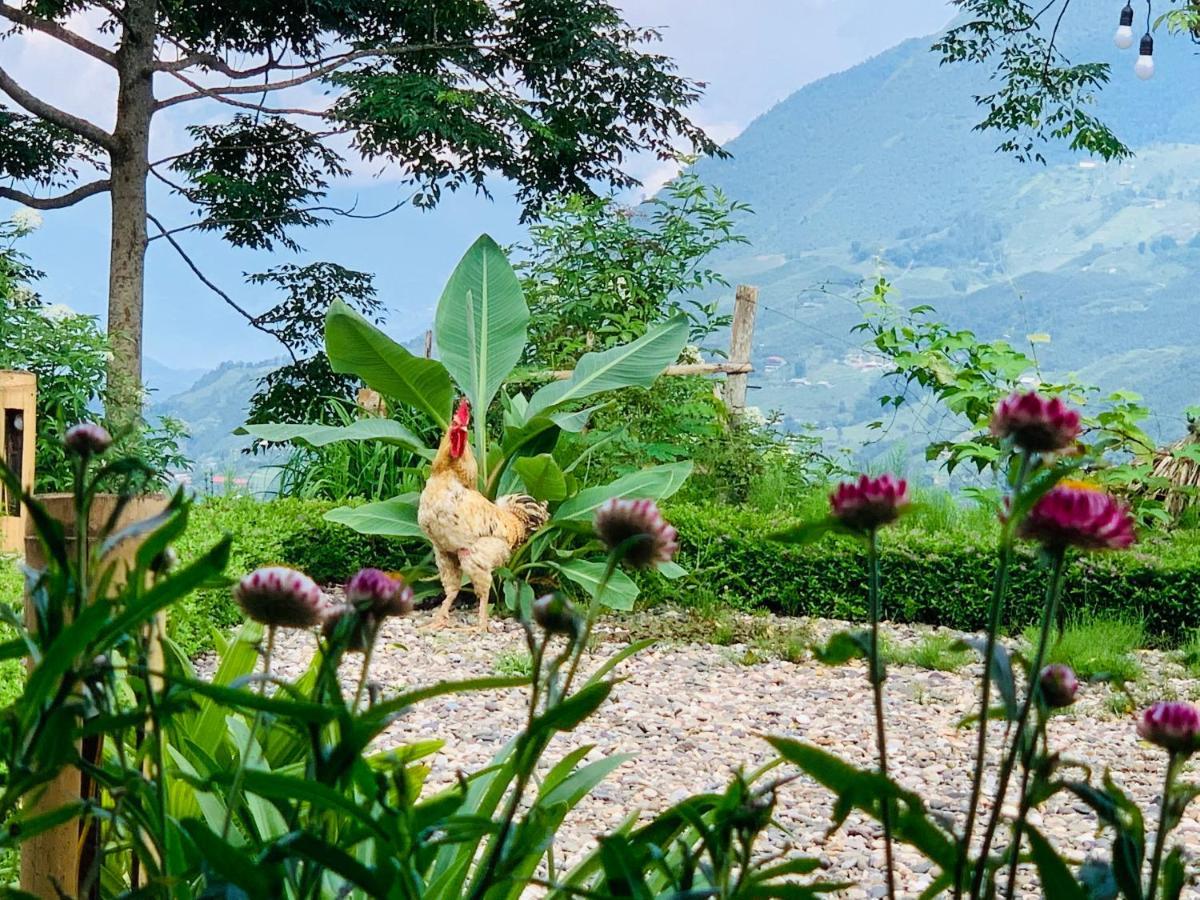 Sapa Rosie House Hotel Exterior photo